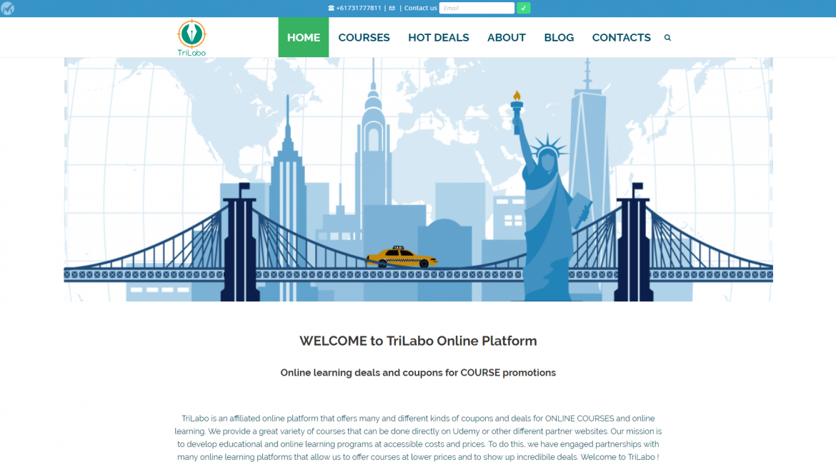 Online Marketing Campaign